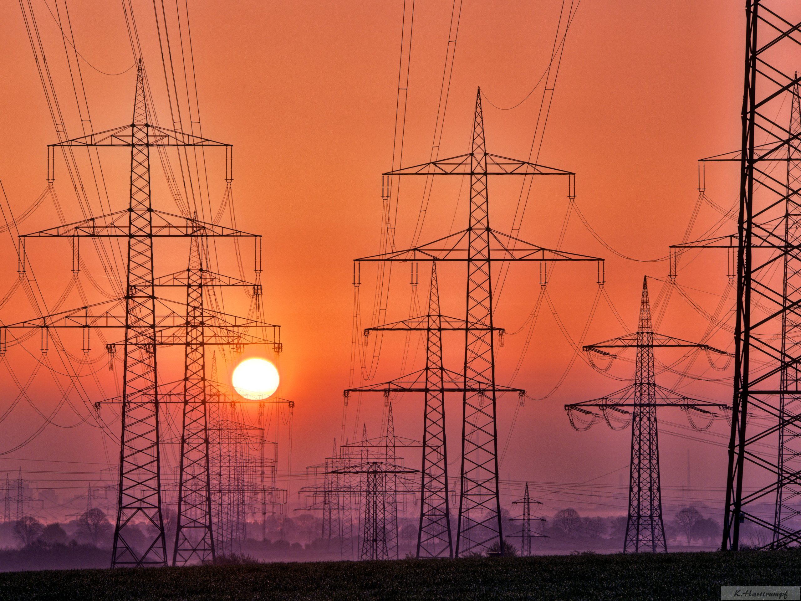 Distribution & Transmission